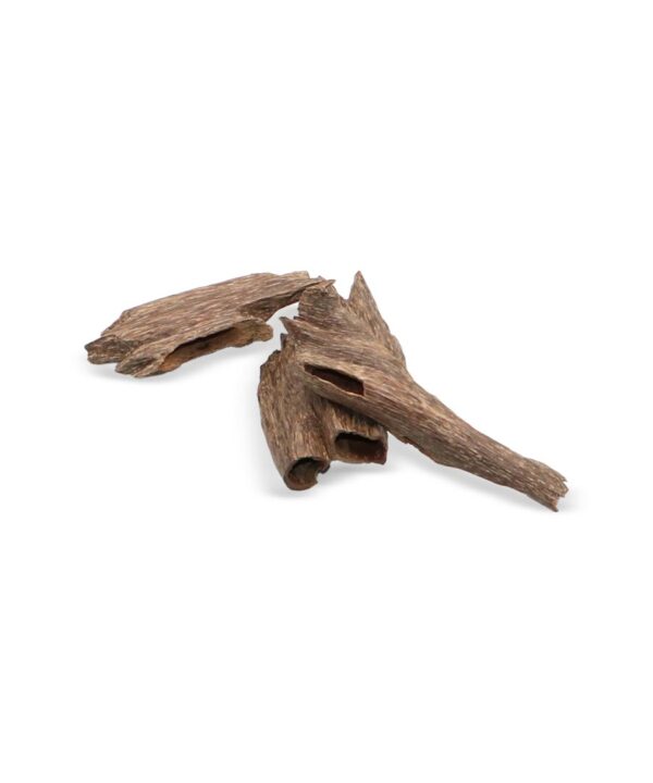 Oud 6 Angle 3 Oud 6 Angle 3