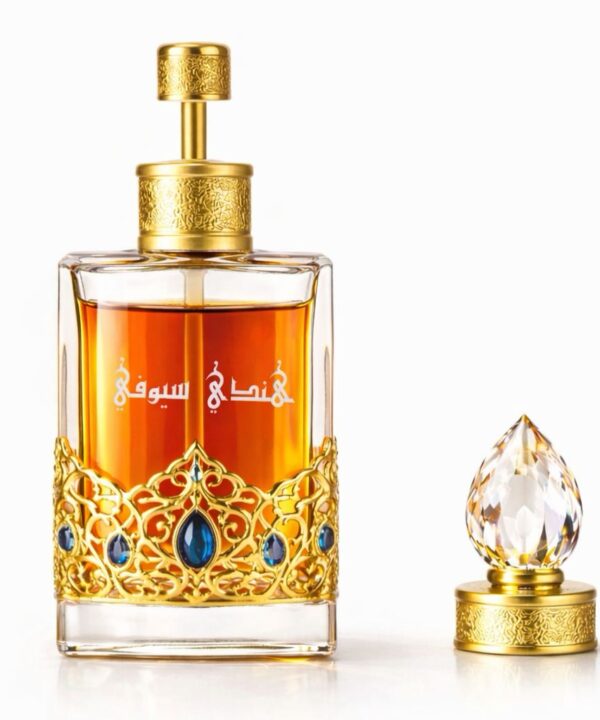 WhatsApp Image 2025-12-28 at 9.15.15 PM