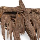 WhatsApp Image 2026-02-18 at 3.10.29 PM