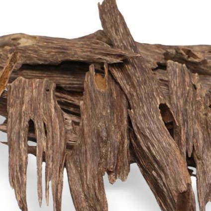 WhatsApp Image 2026-02-18 at 3.10.29 PM WhatsApp Image 2026-02-18 at 3.10.29 PM