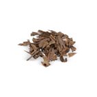 WhatsApp Image 2026-02-18 at 3.10.50 PM