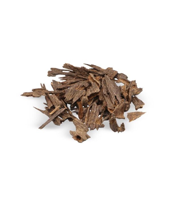 WhatsApp Image 2026-02-18 at 3.10.50 PM WhatsApp Image 2026-02-18 at 3.10.50 PM